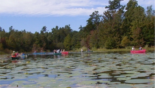 Canoe trip at Santee NW Refuge was such fine cruising on a beautiful day.