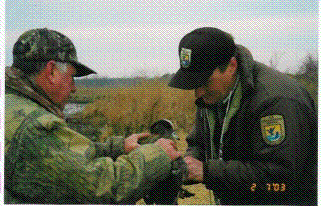 Fuzzy and Larry banding ducks