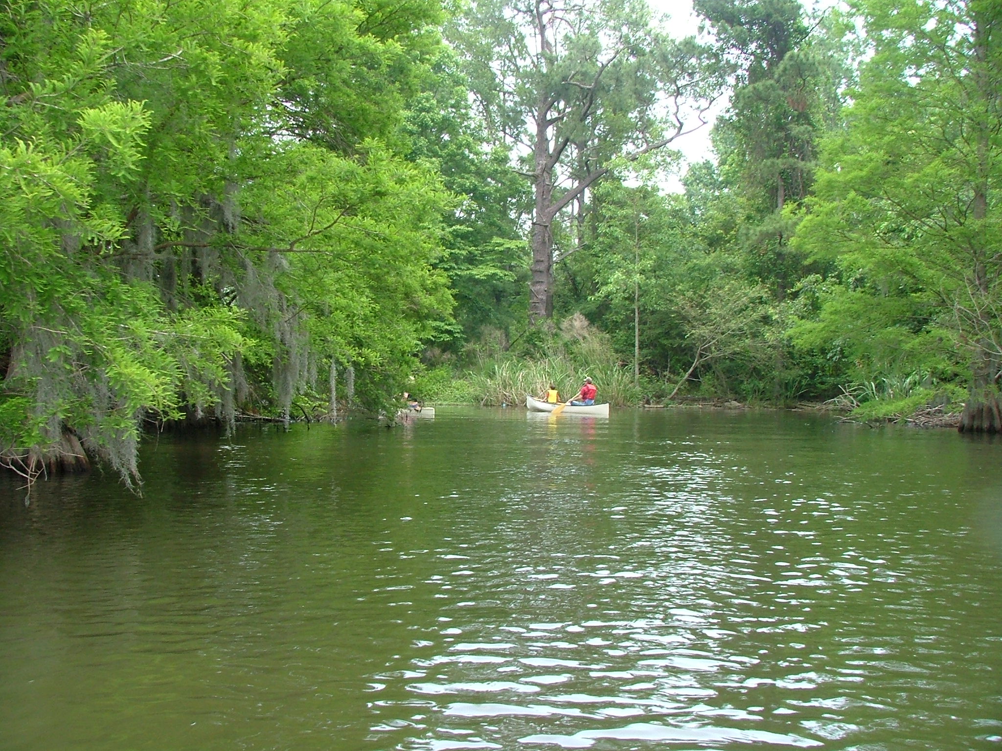 Our 8 canoes observed so much wildlife on Migratory Bird Day.