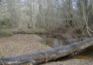 Francis Mariion was here, Richbourg's Mill site on Jack's Creek