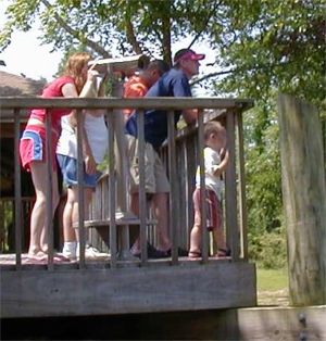 Visitors enjoy new binoculars