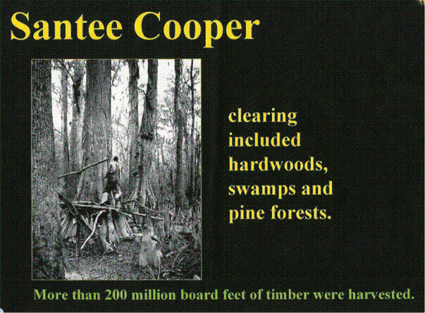 Santee Cooper cut many trees before the lake flooded.