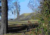 Santee Indian Mound Site of Fort Watson 1780-81
